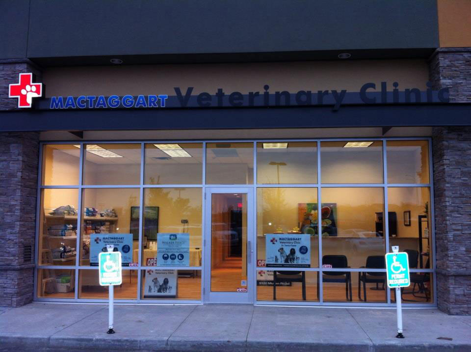 Edmonton Animal Hospital - Animal Clinic Edmonton - MacTaggart Vet